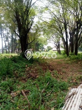 Tanah Kosong Dijual di Jakarta Pusat dengan Area 8118m2 Tanah Kosong Dijual di Jakarta Pusat dengan Area 8118m2