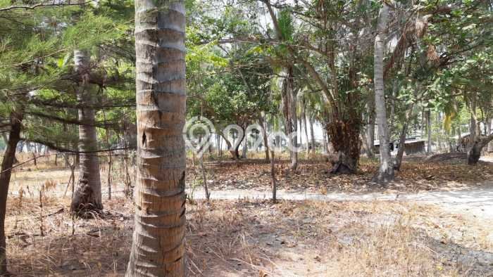 Tanah Kavling Dijual di Kepulauan Seribu dengan Spesifikasi 20000m2 Tanah Kavling Dijual di Kepulauan Seribu dengan Spesifikasi 20000m2