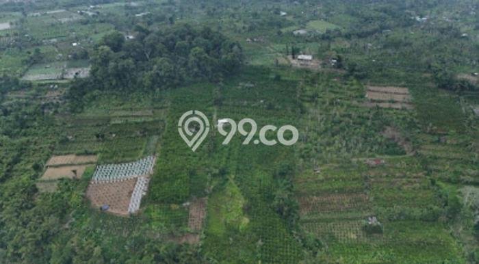 Tanah Kavling Dijual di Tabanan dengan Spesifikasi 65073m2 Tanah Kavling Dijual di Tabanan dengan Spesifikasi 65073m2