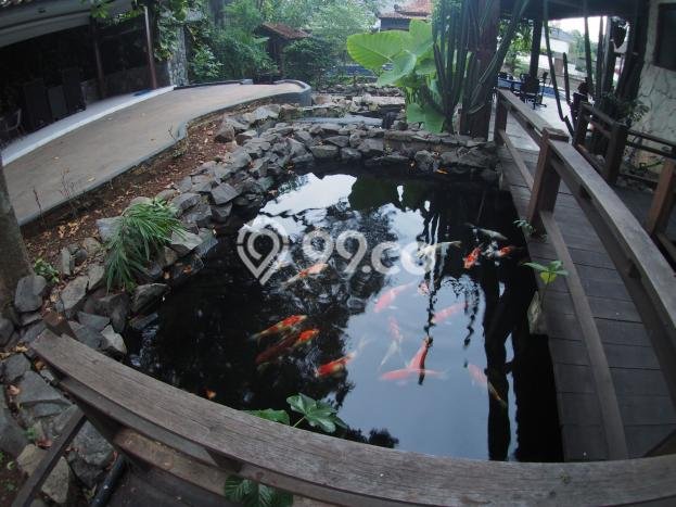 Siap Huni Hunian Elit 9 Kamar di Cilandak Dekat ke Mana Pun Siap Huni Hunian Elit 9 Kamar di Cilandak Dekat ke Mana Pun