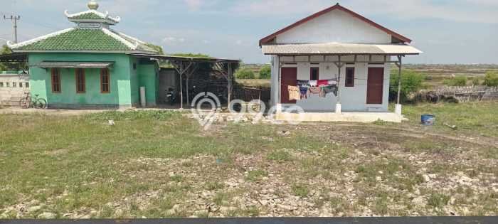 Jarang Ada! Tanah di Indramayu Punya Luas 31114m2 SHM Jarang Ada! Tanah di Indramayu Punya Luas 31114m2 SHM