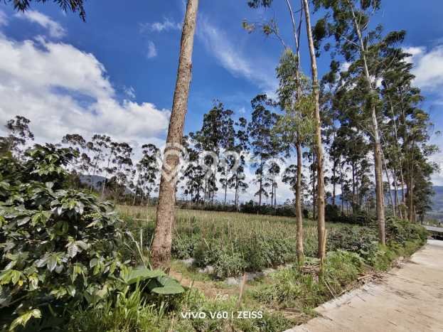 Dijual Tanah di Pangalengan Bandung Luas 6300m2 - Dijual Tanah di Pangalengan Bandung Luas 6300m2 -