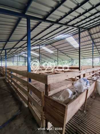 Unit Gudang Dijual di Cimaung Bandung Luas Bangunan 2000m2 Unit Gudang Dijual di Cimaung Bandung Luas Bangunan 2000m2