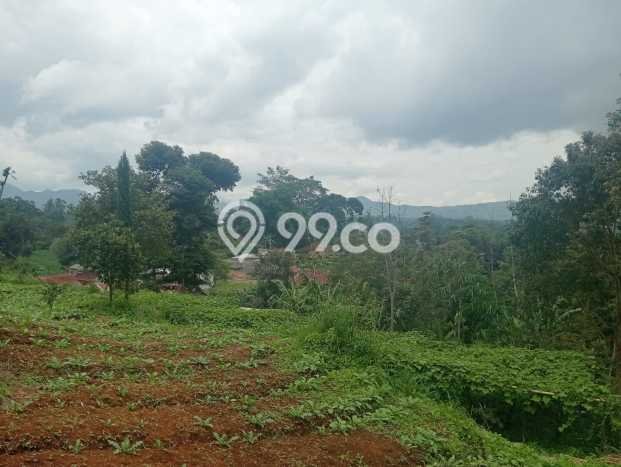 Lahan untuk Dijual di Ciwidey Bandung Luas 2800m2 Lahan untuk Dijual di Ciwidey Bandung Luas 2800m2