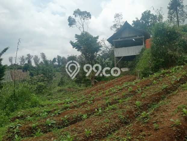 Lahan untuk Dijual di Ciwidey Bandung Luas 2800m2 Lahan untuk Dijual di Ciwidey Bandung Luas 2800m2