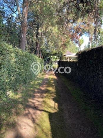 Rumah Menguntungkan di Sukasari, Dekat Kawasan Bisnis, Bandung - LT 2602m2m² Rumah Menguntungkan di Sukasari, Dekat Kawasan Bisnis, Bandung - LT 2602m2m²