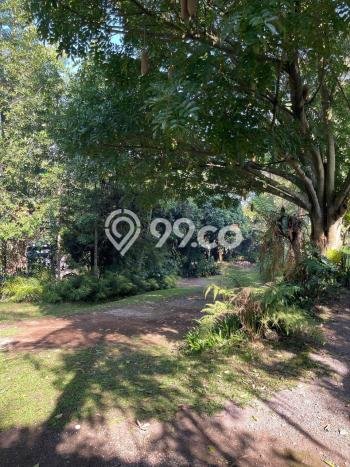 Rumah Menguntungkan di Sukasari, Dekat Kawasan Bisnis, Bandung - LT 2602m2m² Rumah Menguntungkan di Sukasari, Dekat Kawasan Bisnis, Bandung - LT 2602m2m²