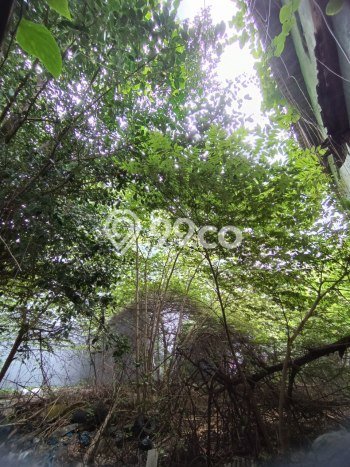 Dijual Tanah Lokasi Gunung Sahari, Jakarta Pusat Seluas 435m2 Dijual Tanah Lokasi Gunung Sahari, Jakarta Pusat Seluas 435m2