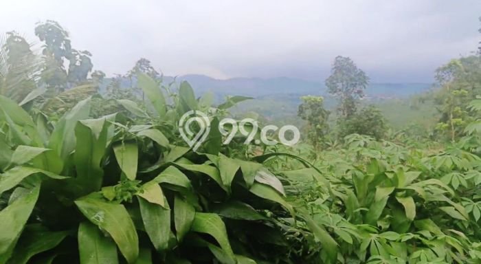 Kavling Tanah Dijual di Cireunghas, Sukabumi, Luas 4513m2 Area Strategis Kavling Tanah Dijual di Cireunghas, Sukabumi, Luas 4513m2 Area Strategis