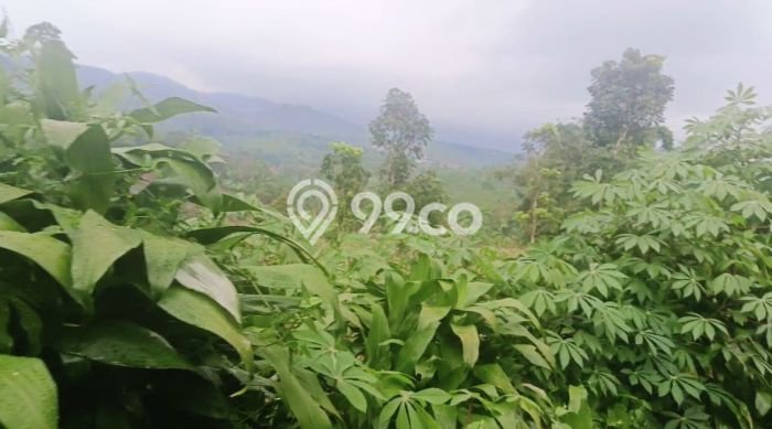Kavling Tanah Dijual di Cireunghas, Sukabumi, Luas 4513m2 Area Strategis Kavling Tanah Dijual di Cireunghas, Sukabumi, Luas 4513m2 Area Strategis