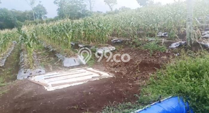 Kavling Tanah Dijual di Cireunghas, Sukabumi, Luas 4513m2 Area Strategis Kavling Tanah Dijual di Cireunghas, Sukabumi, Luas 4513m2 Area Strategis