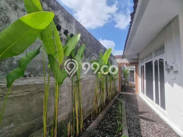 Rumah Asri area Denpasar Barat, 3 KT, Akses Mudah Rumah Asri area Denpasar Barat, 3 KT, Akses Mudah