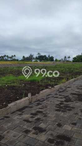 HARGA TERBAIK! Tanah di Belalang, Luas 100m², Dekat Jalan Raya, Cocok untuk Investasi HARGA TERBAIK! Tanah di Belalang, Luas 100m², Dekat Jalan Raya, Cocok untuk Investasi