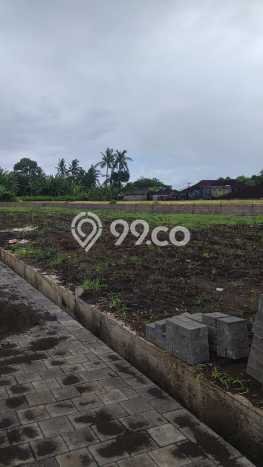 HARGA TERBAIK! Tanah di Belalang, Luas 100m², Dekat Jalan Raya, Cocok untuk Investasi HARGA TERBAIK! Tanah di Belalang, Luas 100m², Dekat Jalan Raya, Cocok untuk Investasi