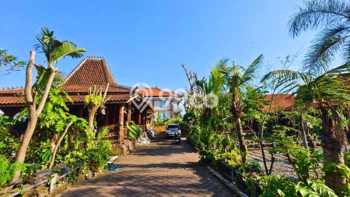Disewakan Rumah Harga Terjangkau di Canggu Badung dengan 2 Kamar Tidur Disewakan Rumah Harga Terjangkau di Canggu Badung dengan 2 Kamar Tidur