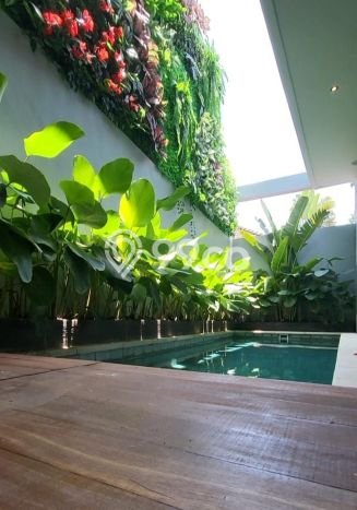 LIMITED OFFER! Rumah Berkualitas di Canggu, LT 108m² LB 140m² LIMITED OFFER! Rumah Berkualitas di Canggu, LT 108m² LB 140m²