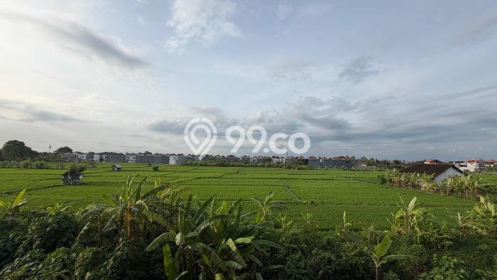 Rumah Luas Asri 2 KT Siap Pakai di Sanur Denpasar Rumah Luas Asri 2 KT Siap Pakai di Sanur Denpasar