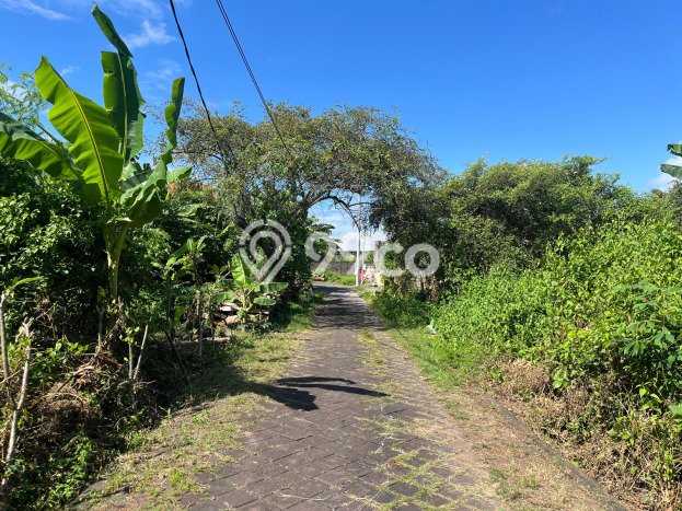 Tanah Dijual Lokasi Strategis di Badung dengan Luas 268m2 Tanah Dijual Lokasi Strategis di Badung dengan Luas 268m2