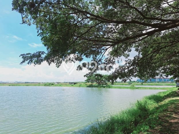 Kavling Tanah di Benowo Dijual Luas 3000m2 Legalitas - Kavling Tanah di Benowo Dijual Luas 3000m2 Legalitas -