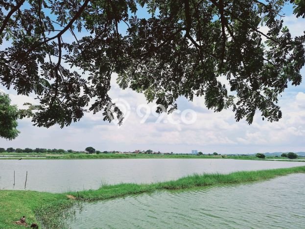 Kavling Tanah di Benowo Dijual Luas 3000m2 Legalitas - Kavling Tanah di Benowo Dijual Luas 3000m2 Legalitas -
