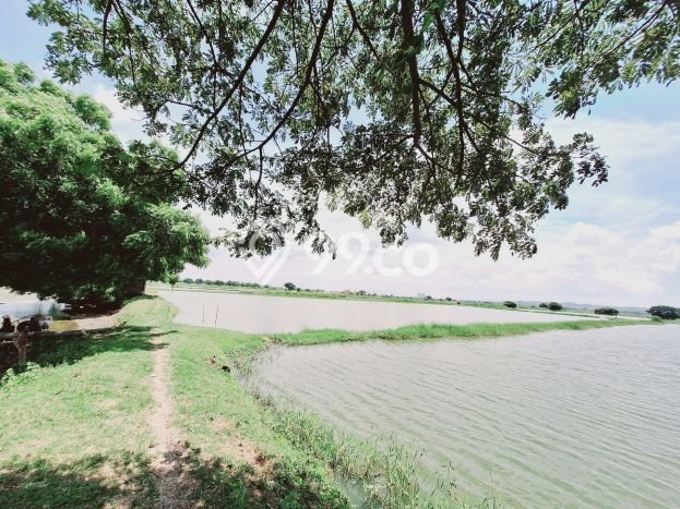 Kavling Tanah di Benowo Dijual Luas 3000m2 Legalitas - Kavling Tanah di Benowo Dijual Luas 3000m2 Legalitas -