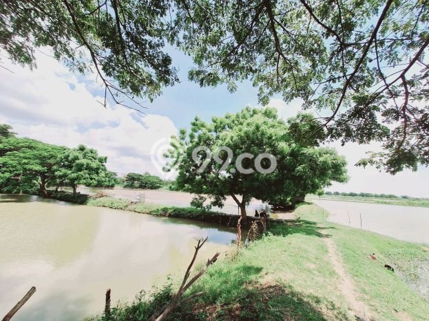 Kavling Tanah di Benowo Dijual Luas 3000m2 Legalitas - Kavling Tanah di Benowo Dijual Luas 3000m2 Legalitas -