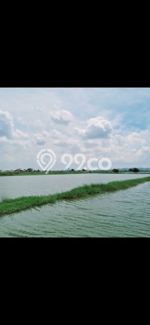Kavling Tanah di Benowo Dijual Luas 3000m2 Legalitas - Kavling Tanah di Benowo Dijual Luas 3000m2 Legalitas -
