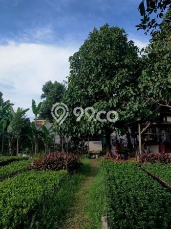 Tanah Kavling Dijual di Jakarta Barat dengan Spesifikasi 4550m2 Tanah Kavling Dijual di Jakarta Barat dengan Spesifikasi 4550m2