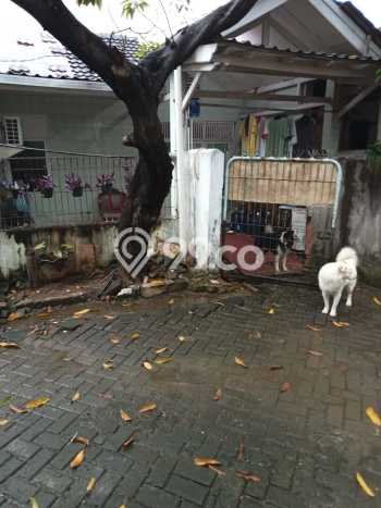 Jual Rumah Modern 3 KT di Harapan Baru, Bekasi Jual Rumah Modern 3 KT di Harapan Baru, Bekasi