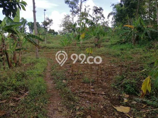 Lahan Strategis di Trawas Dijual dengan Luas 12000m2 Lahan Strategis di Trawas Dijual dengan Luas 12000m2