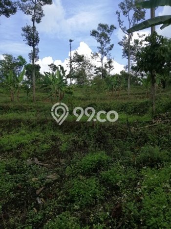 Lahan Strategis di Trawas Dijual dengan Luas 12000m2 Lahan Strategis di Trawas Dijual dengan Luas 12000m2
