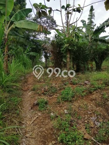 Lahan Strategis di Trawas Dijual dengan Luas 12000m2 Lahan Strategis di Trawas Dijual dengan Luas 12000m2
