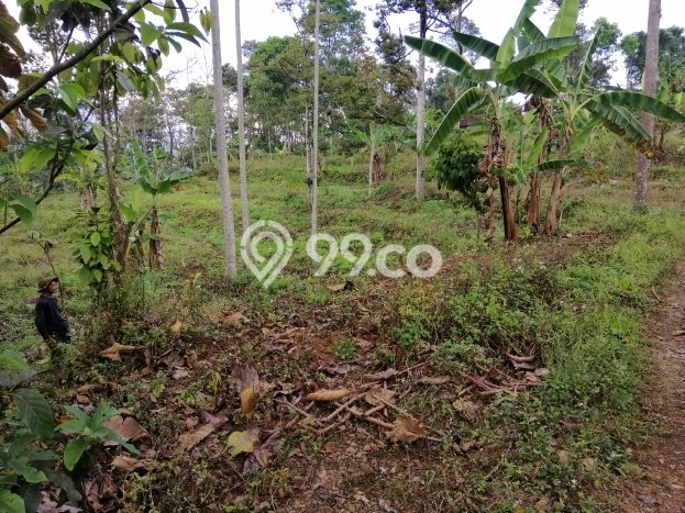 Lahan Strategis di Trawas Dijual dengan Luas 12000m2 Lahan Strategis di Trawas Dijual dengan Luas 12000m2
