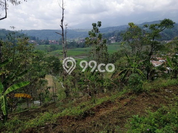 Lahan Strategis di Trawas Dijual dengan Luas 12000m2 Lahan Strategis di Trawas Dijual dengan Luas 12000m2