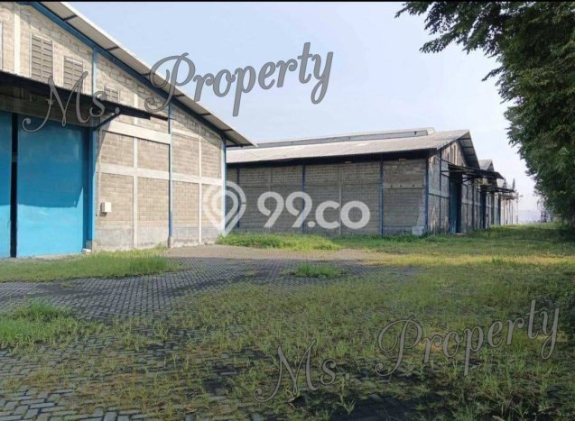 Disewakan Gudang di Gempol Pasuruan LT 23000m2, LB 13800m2 Disewakan Gudang di Gempol Pasuruan LT 23000m2, LB 13800m2