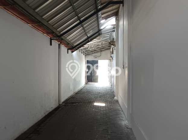 Ready to Use! Luxury House LT 1000m2 Desain Elegan di Dr Cipto Mangunkusomo Ready to Use! Luxury House LT 1000m2 Desain Elegan di Dr Cipto Mangunkusomo