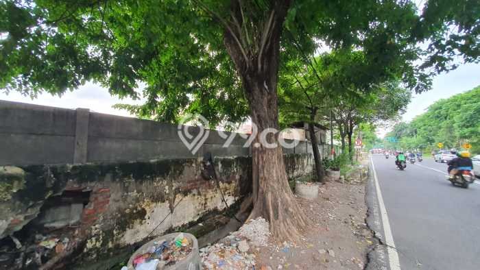 Jarang Ada! Tanah Kavling Disewakan di Surabaya 3600m2 Jarang Ada! Tanah Kavling Disewakan di Surabaya 3600m2