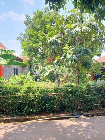 Kavling Tanah Dijual di Tembalang Semarang Spesifikasi 280m2 Kavling Tanah Dijual di Tembalang Semarang Spesifikasi 280m2