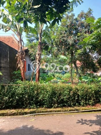 Kavling Tanah Dijual di Tembalang Semarang Spesifikasi 280m2 Kavling Tanah Dijual di Tembalang Semarang Spesifikasi 280m2