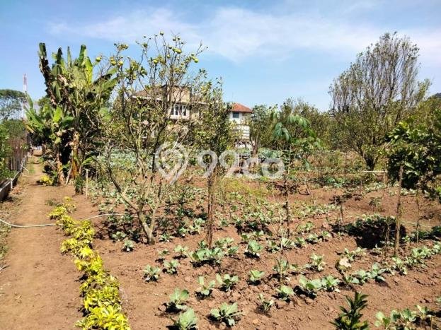 Dijual Rumah Elit Exclusive di Bumiaji, Batu Dijual Rumah Elit Exclusive di Bumiaji, Batu