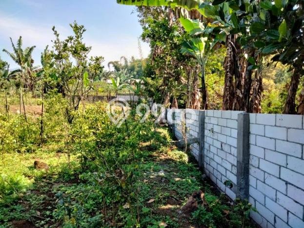 Siap Huni Rumah Mewah 3 Kamar di Bumiaji Dekat ke Mana Saja Siap Huni Rumah Mewah 3 Kamar di Bumiaji Dekat ke Mana Saja