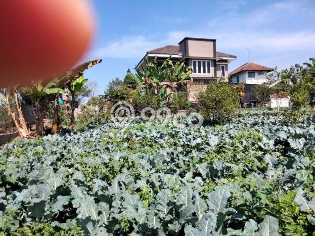 Siap Huni Rumah Mewah 3 Kamar di Bumiaji Dekat ke Mana Saja Siap Huni Rumah Mewah 3 Kamar di Bumiaji Dekat ke Mana Saja