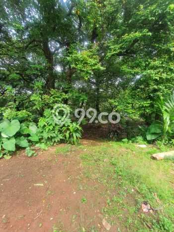 Dijual Tanah di Pancoran Mas Depok Luas 2600m2 SHM Dijual Tanah di Pancoran Mas Depok Luas 2600m2 SHM