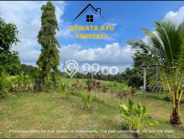 HARGA MENARIK! Tanah di Tabanan, Luas 3000m2m², Area Asri, Bebas Longsor HARGA MENARIK! Tanah di Tabanan, Luas 3000m2m², Area Asri, Bebas Longsor
