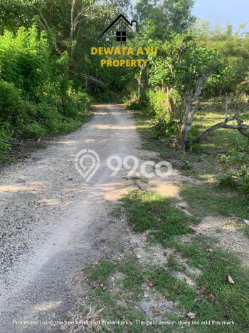 Tanah Kavling untuk Dijual di Kuta Badung 5.61e+06m2 Tanah Kavling untuk Dijual di Kuta Badung 5.61e+06m2