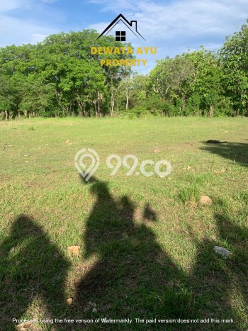 Tanah Kavling untuk Dijual di Kuta Badung 5.61e+06m2 Tanah Kavling untuk Dijual di Kuta Badung 5.61e+06m2