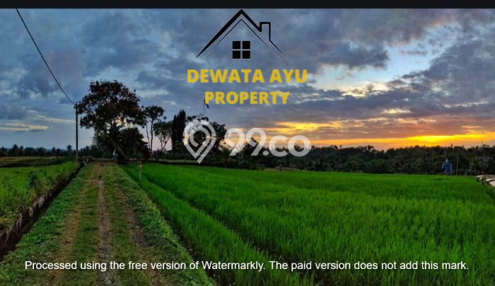 HARGA MENARIK! Tanah di Tabanan, Luas 3000m2m², Area Asri, Bebas Longsor HARGA MENARIK! Tanah di Tabanan, Luas 3000m2m², Area Asri, Bebas Longsor