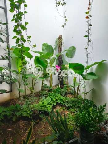 Jual Rumah Minimalis Bagus Punya 2 KT di Antapani Bandung SHM Jual Rumah Minimalis Bagus Punya 2 KT di Antapani Bandung SHM