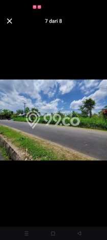 Tanah di Abiansemal, Badung Luas 7700m2 Dijual Segera Tanah di Abiansemal, Badung Luas 7700m2 Dijual Segera