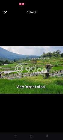 Tanah di Abiansemal, Badung Luas 7700m2 Dijual Segera Tanah di Abiansemal, Badung Luas 7700m2 Dijual Segera